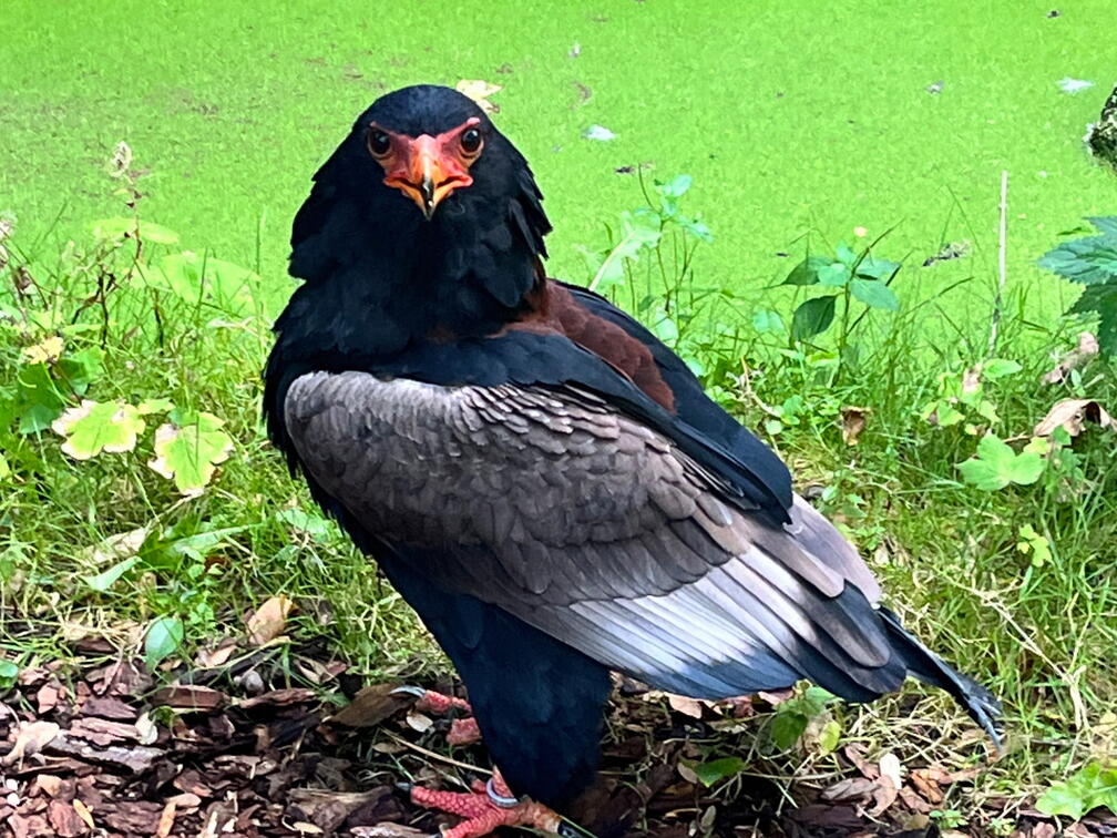 23-09-22 14-24-24 7297